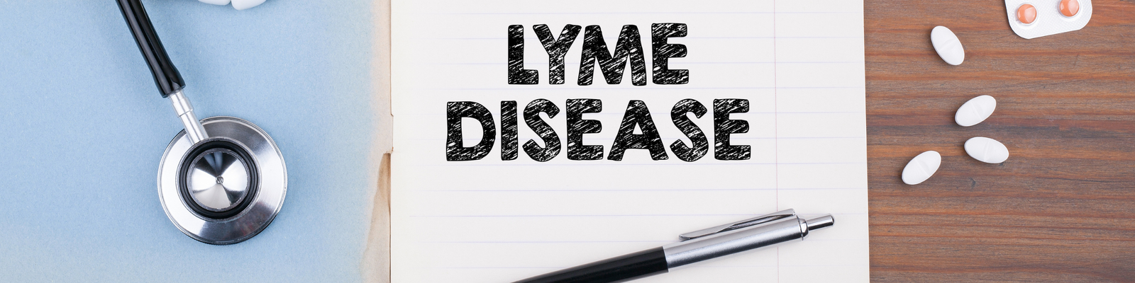 Lyme Disease 